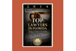 Top Lawyers in America